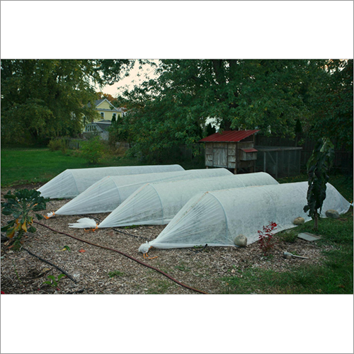 Low Tunnel Film