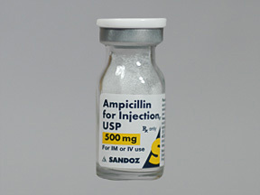 Ampicillin Sodium Sterile