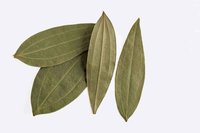 Bay Leaves