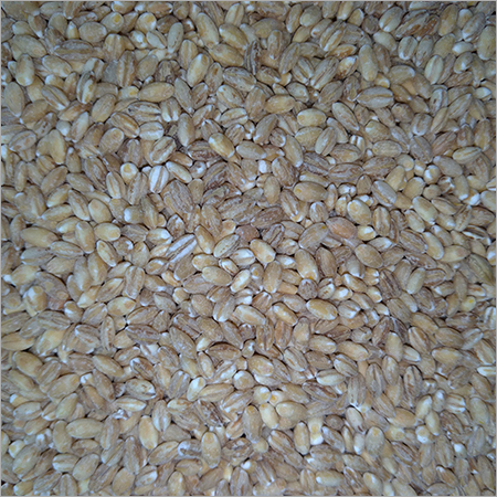Pearl Barley By Private Production and Trading Enterprise JNL
