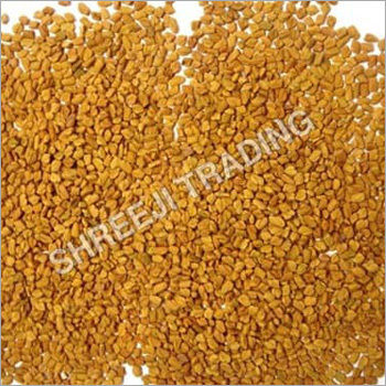 Fenugreek Seed