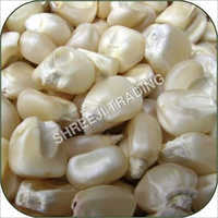 White Maize Seed