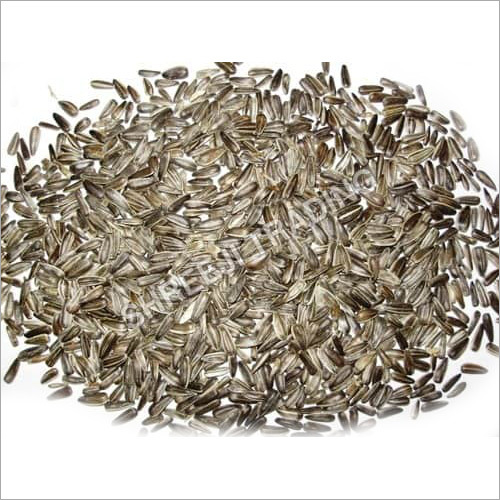 Sunflower Edible Seed