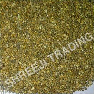 Foxtail Millet