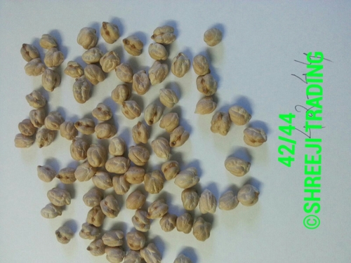 Garbanzo Beans 42-44 By SHREEJI TRADING