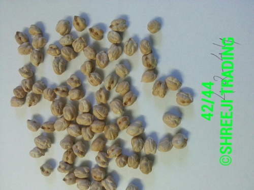 Garbanzo Beans 42-44