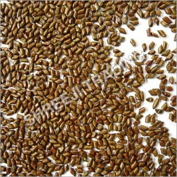 Cassia Tora Seed