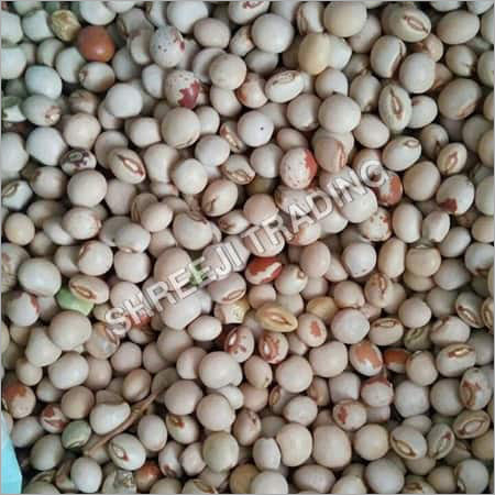 Pigeon Pea Seeds