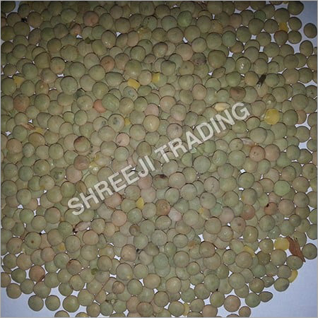 Green Lentil Seeds