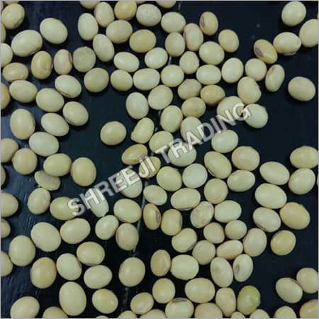 Organic Soybean Seeds