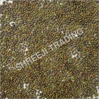 Sesbania Seed