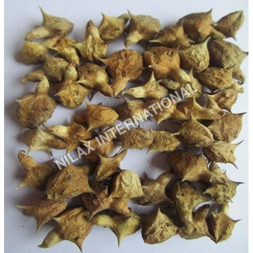 Gokhru (Tribulus Terrestris) Dry Place