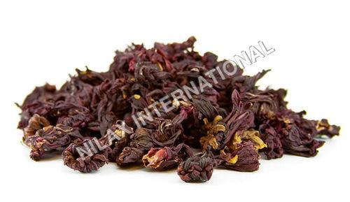 Hibiscus Dry Place