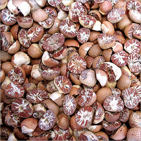 Split Betel Nut Good Cut