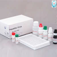HCV ELISA Test Kit
