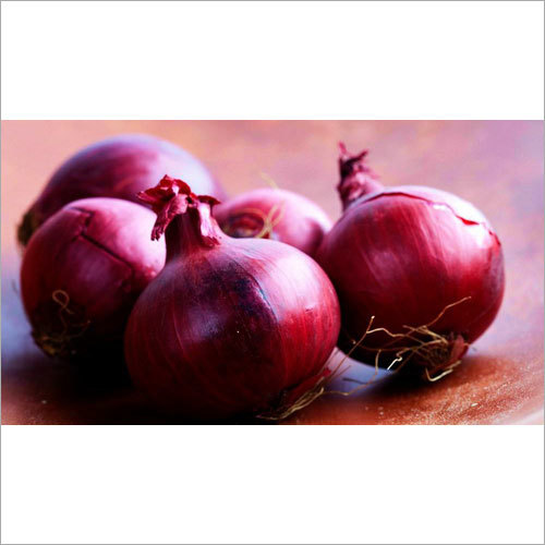 Fresh Red Onion Fresh Red Onion
