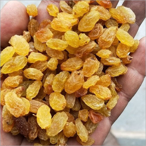 Fresh Golden Raisins