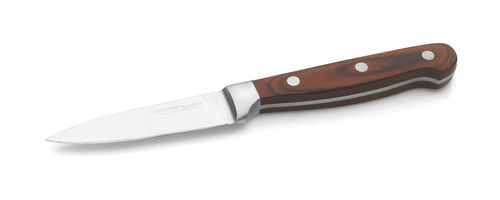 PARING KNIFE 20CM (8)