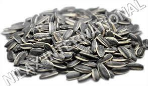 Sunflower Seed Dry Place