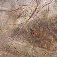 Rain Forest Gold Marble