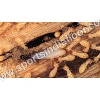 Anti-Termite Solution By SPORTS INDIA