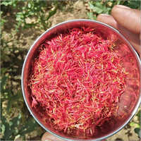 Pure American Saffron - Premium Quality, Enhanced Fragrance For Skincare And Hairfall Relief, Pain Alleviation, Hormonal Balance, And Digestive Support