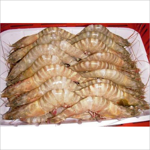 Frozen Shrimps
