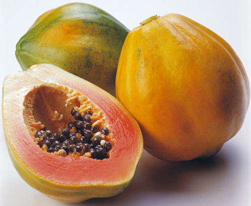 Fresh Papaya Fresh Papaya