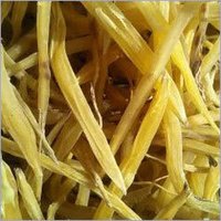 Yellow Shatavari Roots Direction: Aaa