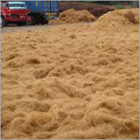Coconut Fiber