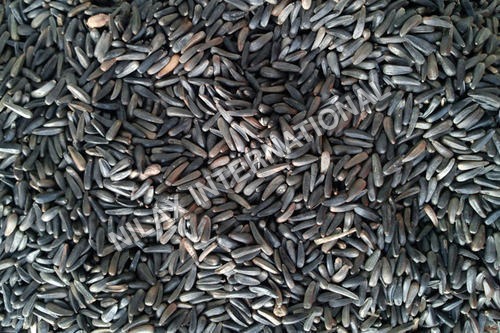 Niger Seeds Dry Place