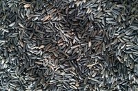 Niger Seeds Dry Place