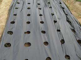 Black Mulching Film