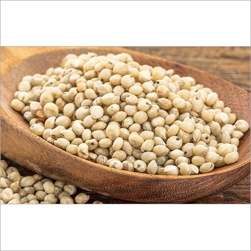 Cholam - Whole Organic Millet, Rich in Vitamins, Antioxidants, Fiber & Minerals for Heart Health and Animal Fodder