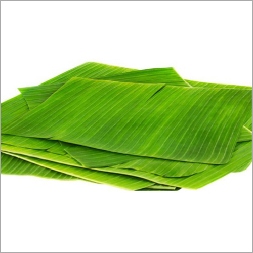 Fresh Banana Leaf