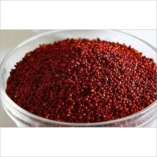 Ragi Millet