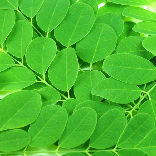 Natural Moringa - Additives: Nil