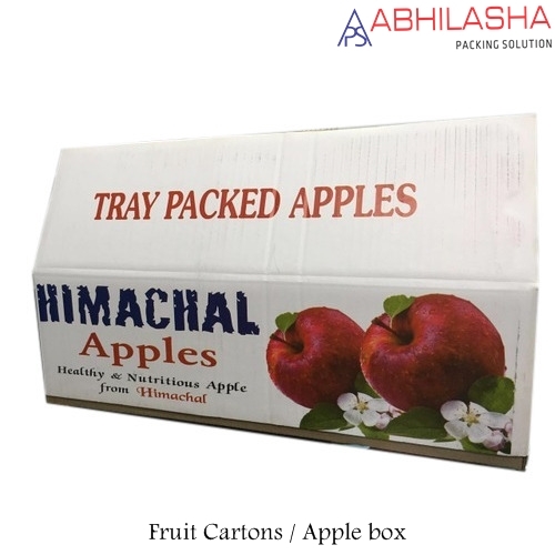 Fruit Packaging Box