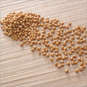 Butter Scotch Nuts - Fresh Variety | Common Cultivation Type, Rich Flavor Profile, Sweet Crunchy Texture