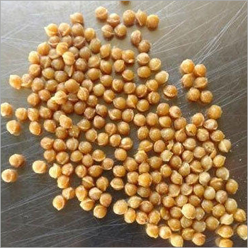 Butter Scotch Nuts - Fresh Harvested Quality | Common Cultivation, Nutritious Snack Option