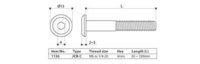 Joint Connector Bolt JCB