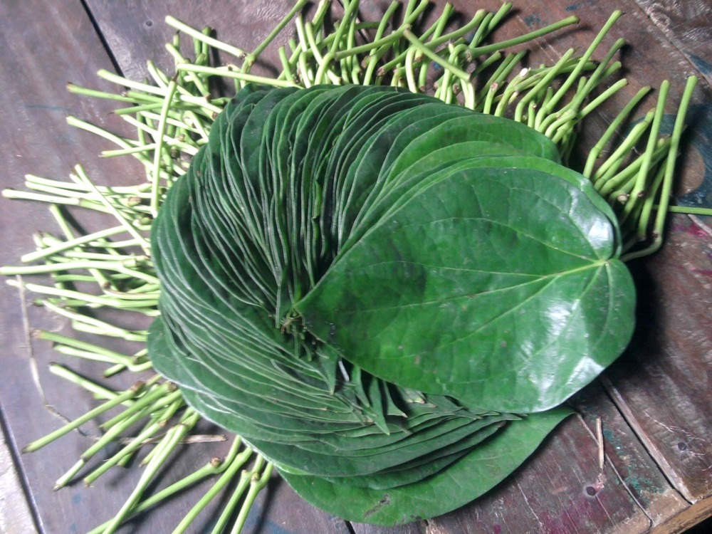 Kali Bangla Betel Leaves
