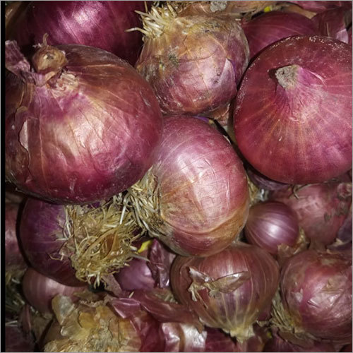 Fresh Onion - Raw, Preserved | 99% Moisture, Antioxidant-Rich, Blood Sugar Control, Anti-Inflammatory Benefits, Respiratory Health Support, Cancer-Fighting Properties