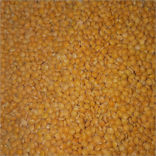 Masoor Dal - Whole Yellow Lentils | Nutrient-Dense Vegan Protein Source, Fast Cooking, Naturally Processed, Supports Weight Management