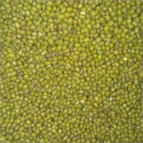 Sabut Moong Dal - Whole Green Beans , Excellent Source of Protein, Easy to Digest, Versatile for Cooking & Sprouting