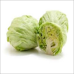 Fresh Lettuce