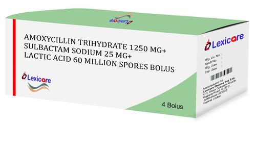 Amoxycillin Trihydrate Bolus Animal Health Supplements