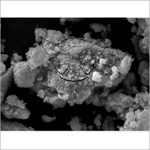 Magnetite Nanoparticles