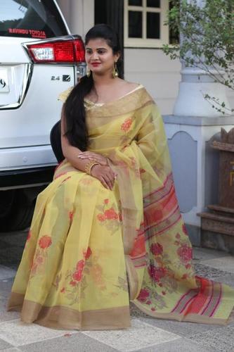 Organza Designer Saree