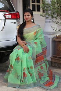 Organza Designer Saree